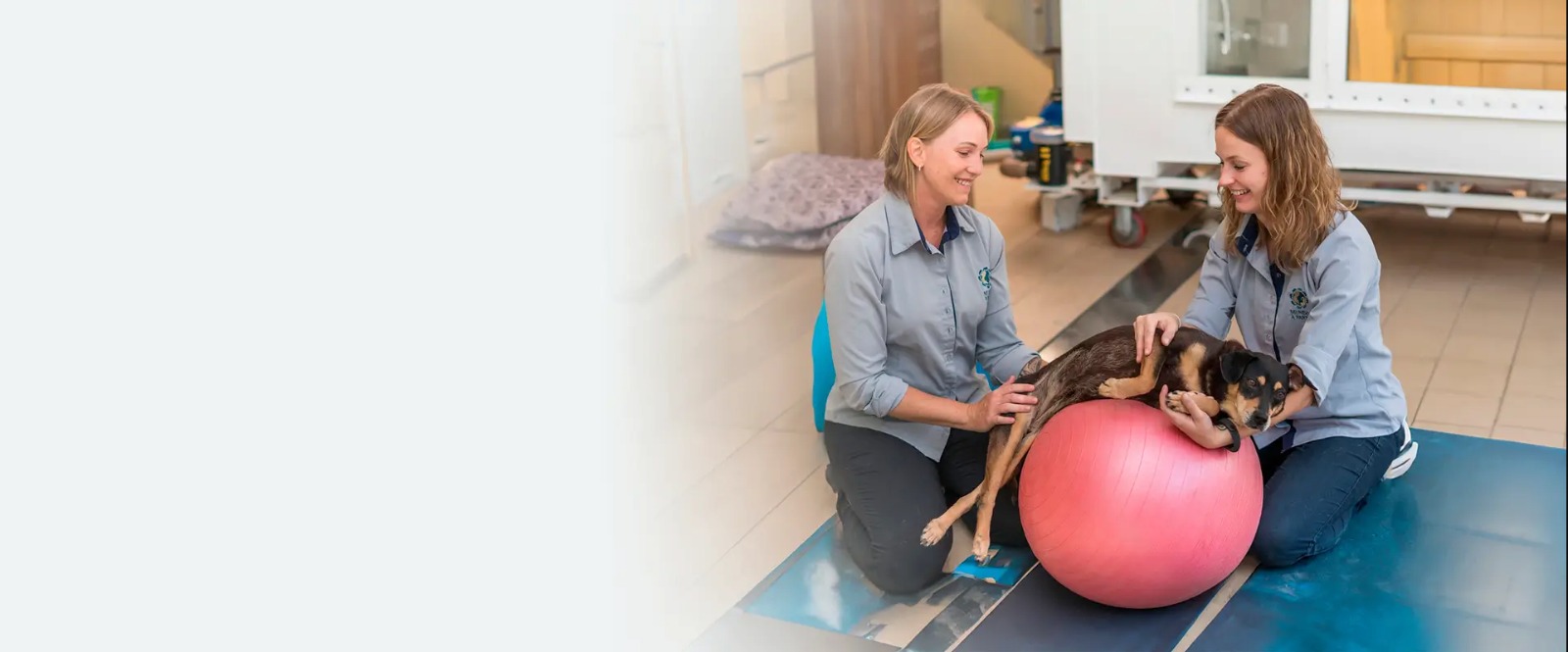 Banner Mundo à Parte